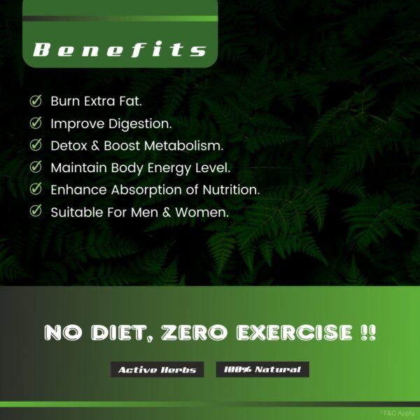 Sanjeevani Weight Lose Pack - Image 3