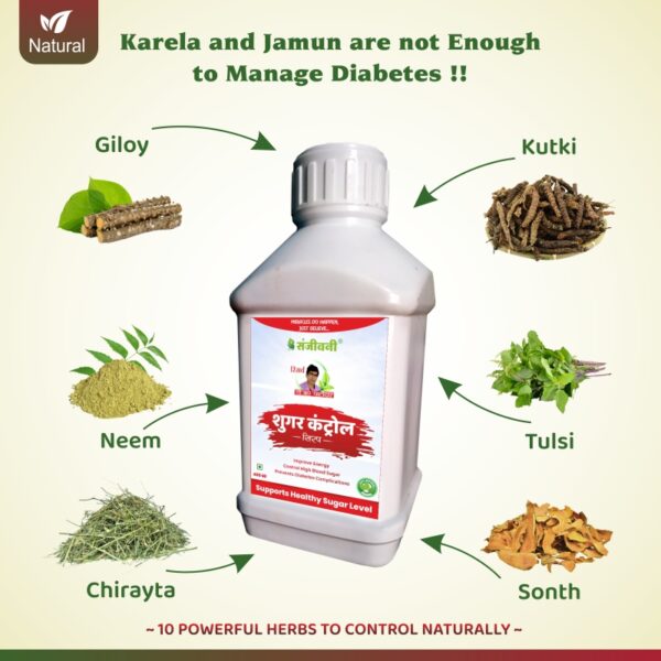 Sanjeevani Sugar Control Pack - Image 2