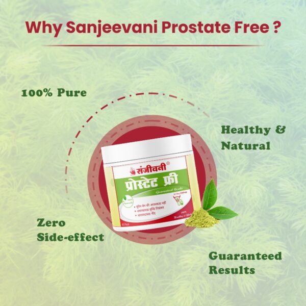 Sanjeevani Prostate Free - Image 3